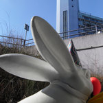 Pressebild zum Artikel Gebäudeöffnungszeiten an Ostern 2014