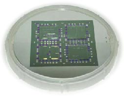 chip_transparent