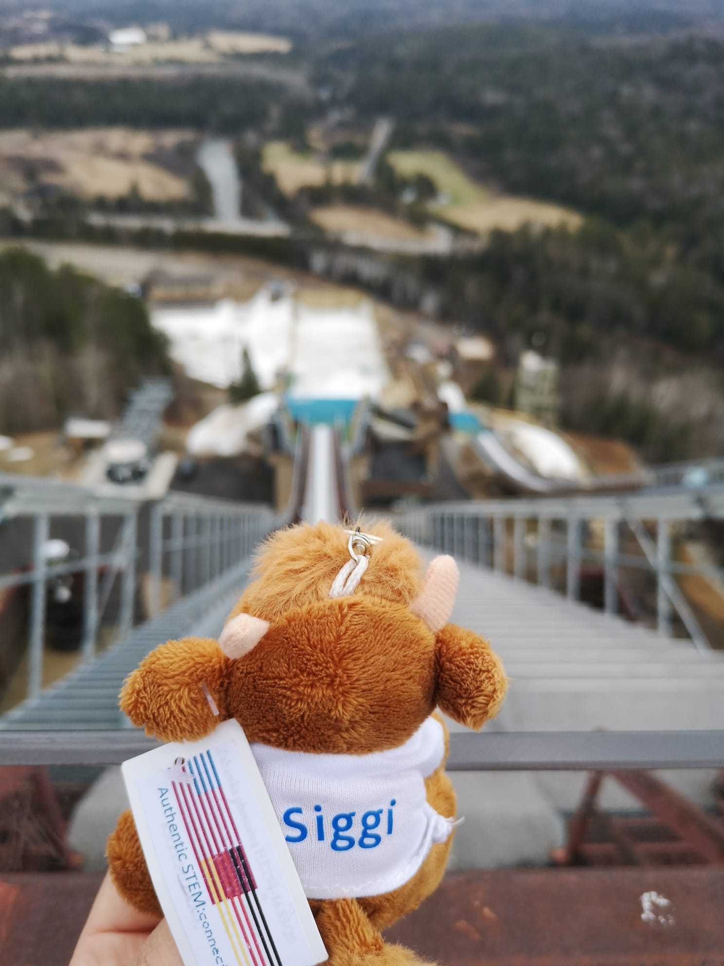 Siggi20