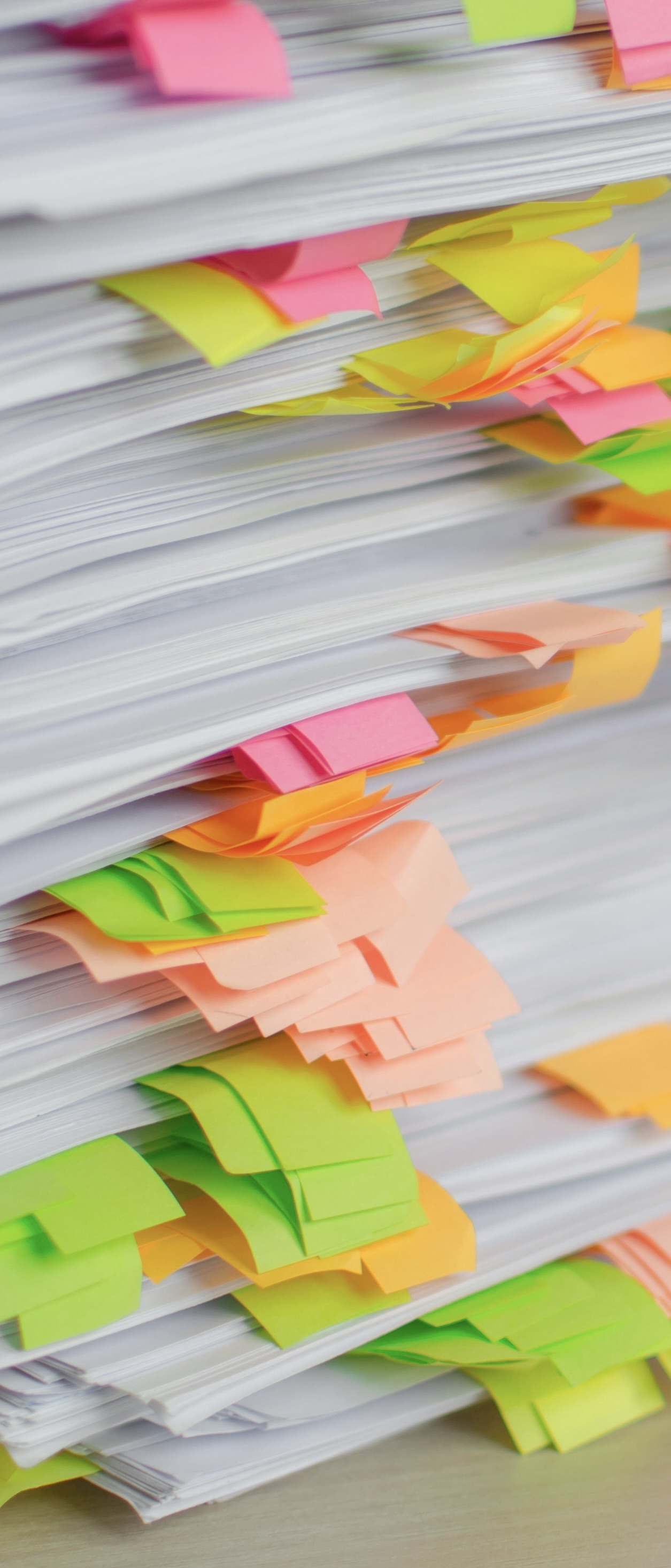 profilbild maria hochformat