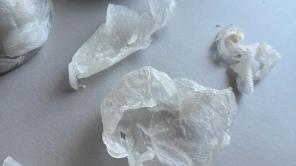 Das Projekt der Siegergruppe war biologisch abbaubares Plastik für Lebensmittelverpackungen