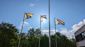 Gehisste Flaggen, die geschlechtliche Vielfalt symbolisieren