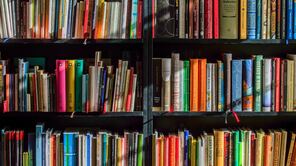 Bücherregal, das von der Sonne beschienen wird.
