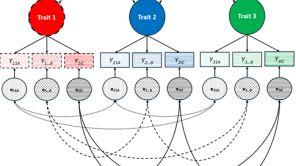 Grafische Darstellung einer konfirmatorischen Faktorenanalyse