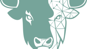 KiwiSiwi Logo