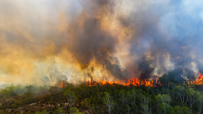 Waldbrand