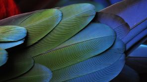Biologisches Kolloquium