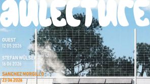 AU Lectures Sommer 2026