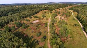 Die Trupbacher Heide in Siegen-Freudenberg