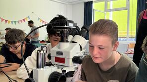 Schüler an Mikroskop in Schule