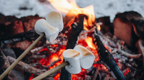 Feuer Winter Marshmellow