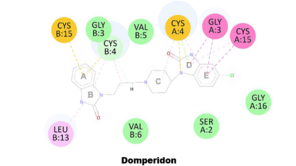 Neuer Wirkstoffkandidat Domperidon bindet an Aminosäuren des Nichtstrukturproteins 1 (NS1)