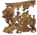 Lederfragment