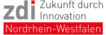 zdi logo