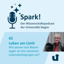 podcast 2