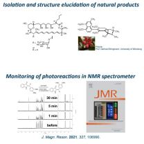 Organische Chemie 2 Arbeitsgebiete