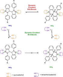 Amidoboronates2