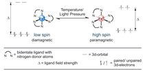 Spin-Crossover Fe(II) Complexes