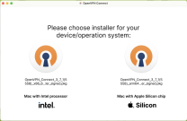 Screenshot des OpenVPN Connect Installationsmanagers