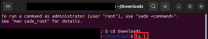 Linux Terminal mit Befehlseingabe; Details in der Beschreibung