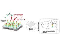 Schema des neuartigen Hydrogels