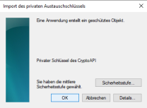 Importmeldung "Eine Anwendung erstellt ein geschütztes Objekt"