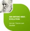 Grafik Abschnitt 1 Evoband