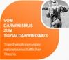 Grafik Abschnitt 4 Evoband