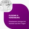 Grafik Abschnitt 6 Evoband