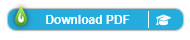 Download PDF Button (Libkey)