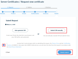 Submit Seite mit markierter Option "Submit CSR manually"; Details in der Beschreibung