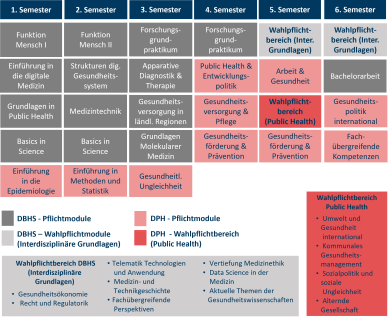 Studienverlaufsplan BA_DPH