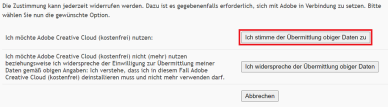 Datenübermittlungsabfrage mit markiertem Button "Ich stimme der Übermittlung obiger Daten zu"