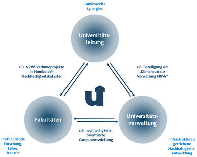 Universitätsleitung Verwaltung und Fakultäten bilden die Knotenpunkte eines Dreiecks
