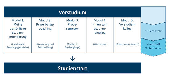 Brücken ins Studium Module