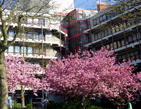 Campus Hölderlinstraße