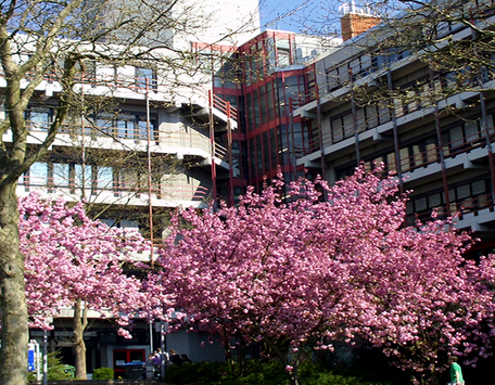 Campus Hölderlinstraße