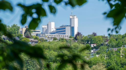Testbild
