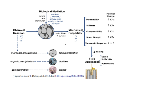 Stabilisierungsmechanismus_Shuai