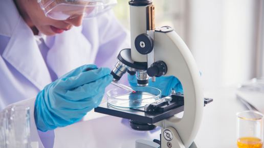 Studierende schaut ins Microskop