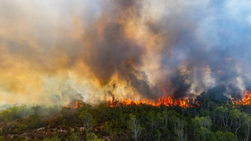 Waldbrand