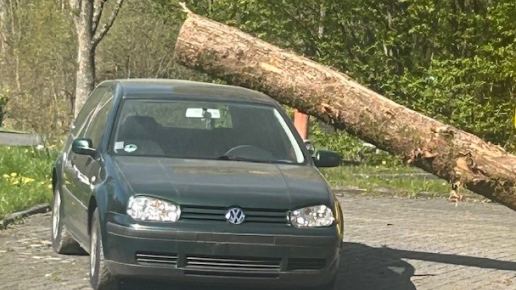 Auto mit Baumstamm