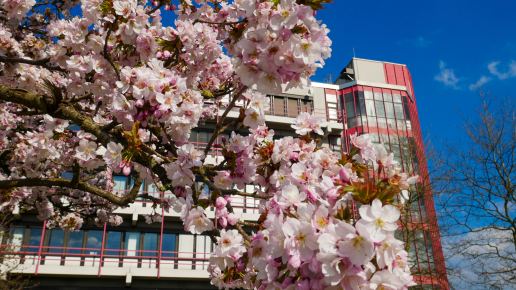 Ansicht Campus Hölderlinstraße