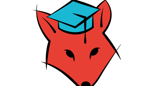 Logo FSR SLM