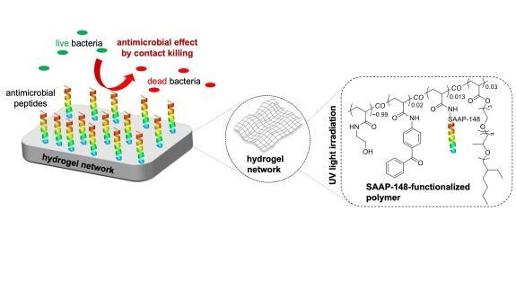 Schema des neuartigen Hydrogels
