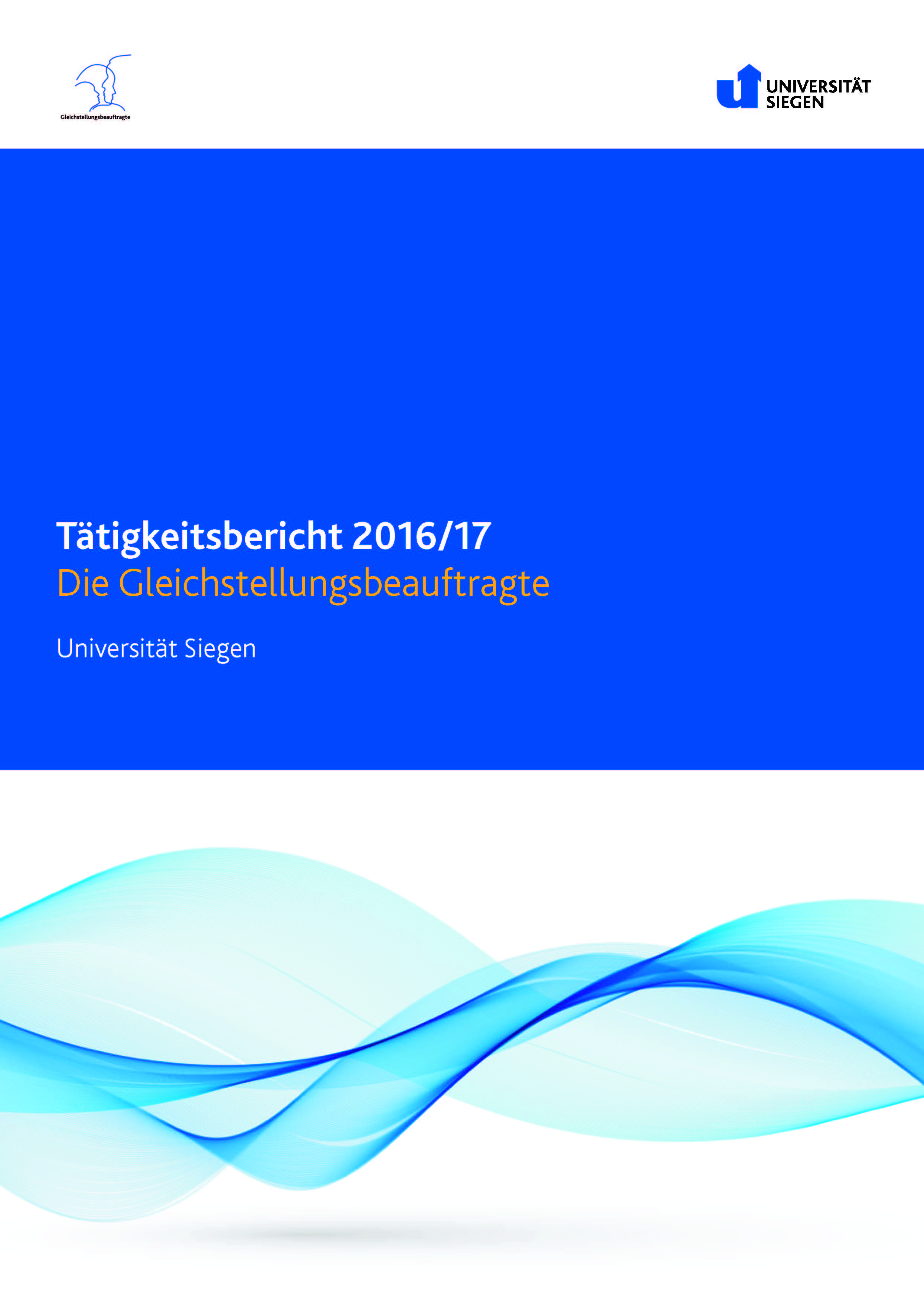 Tätigkeitsbericht_2016-17