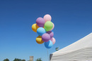 Bunte_Ballons