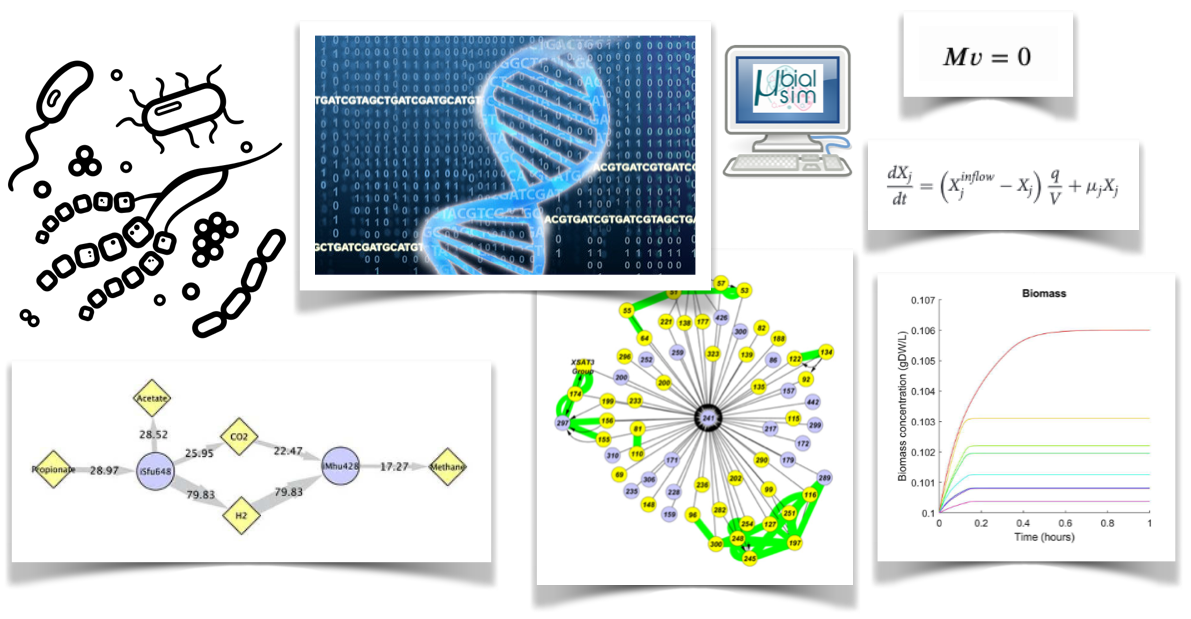 Bioinformatics