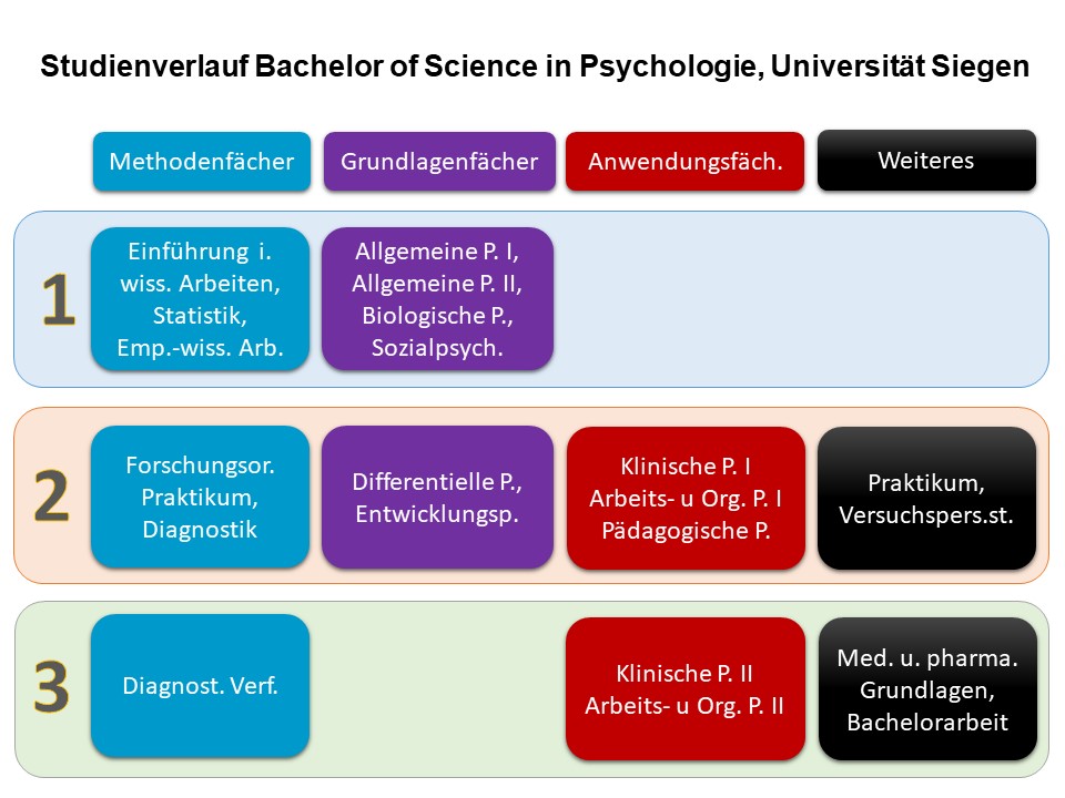 studienverlauf_bachelor_ws2021