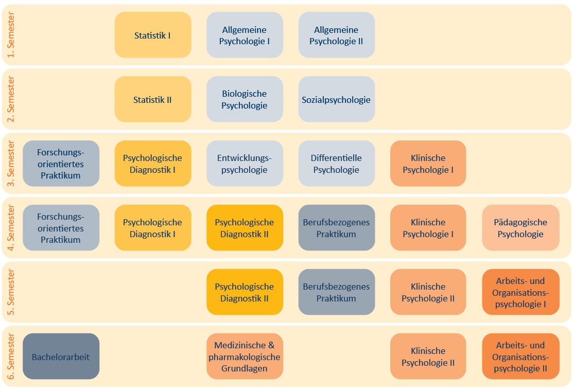 StudienverlaufsplanBachelorPsychologieWS24_25